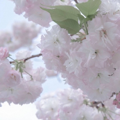 Furry角色互动设计FurryQQ群